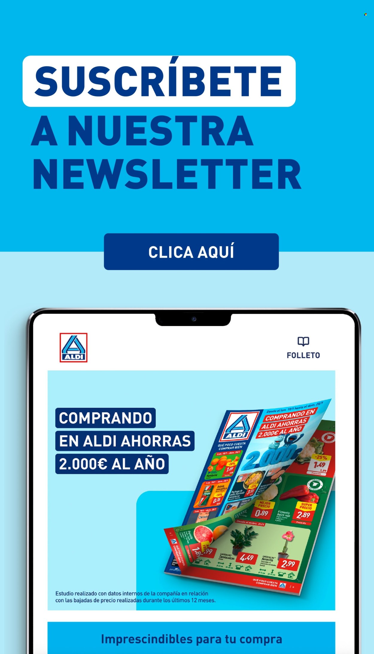Folleto Aldi - 22/06/26 - 28/06/26. Página 31
