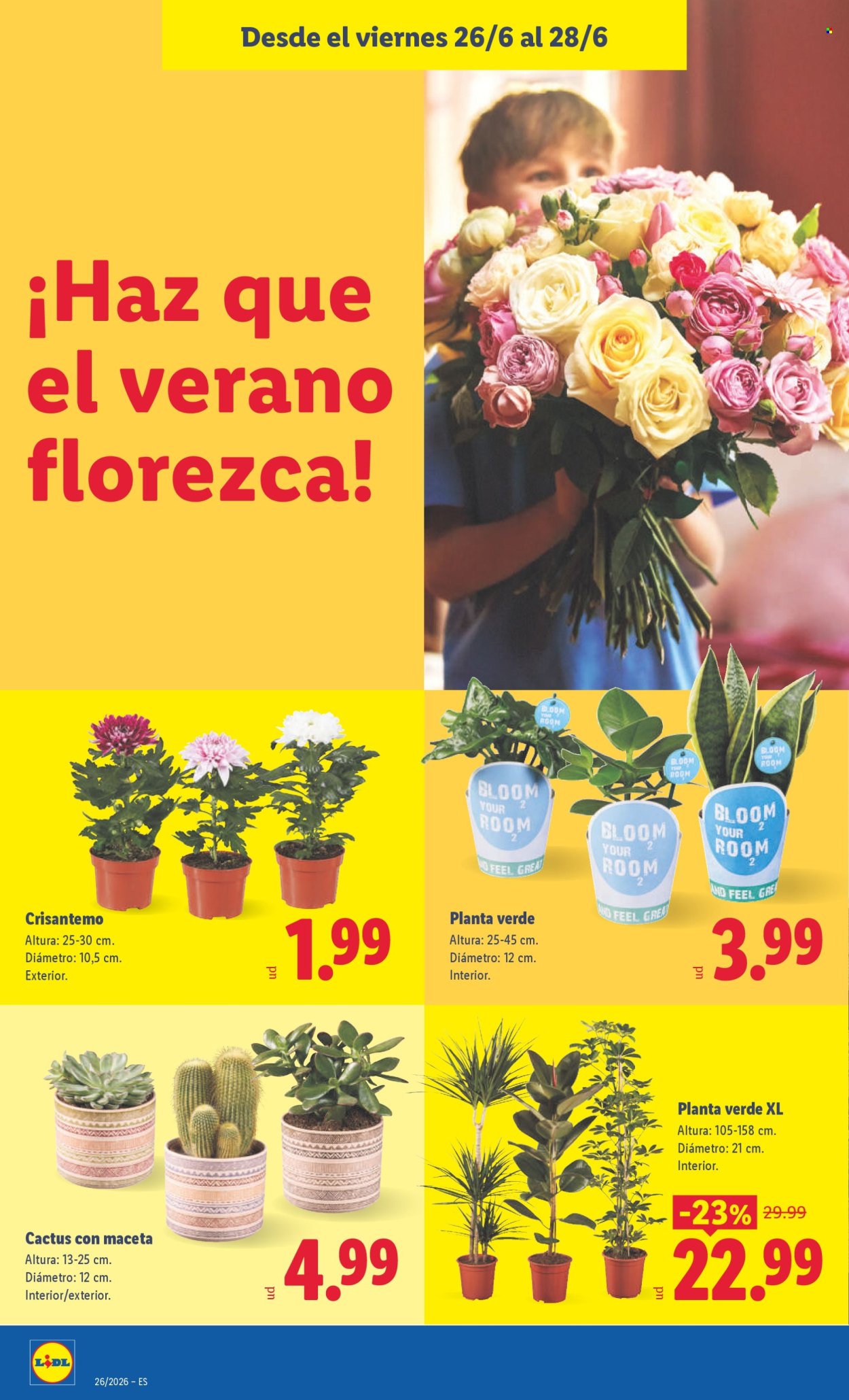Folleto Lidl - 22/06/26 - 28/06/26. Página 40