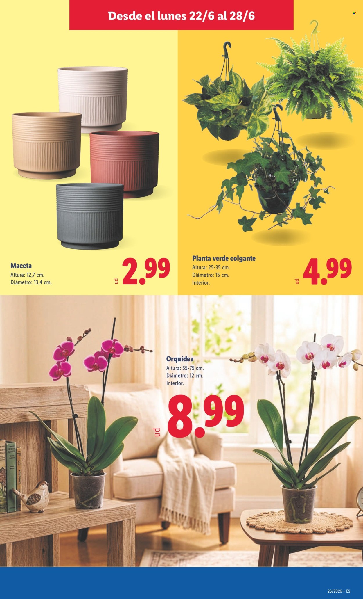 Folleto Lidl - 22/06/26 - 28/06/26. Página 41
