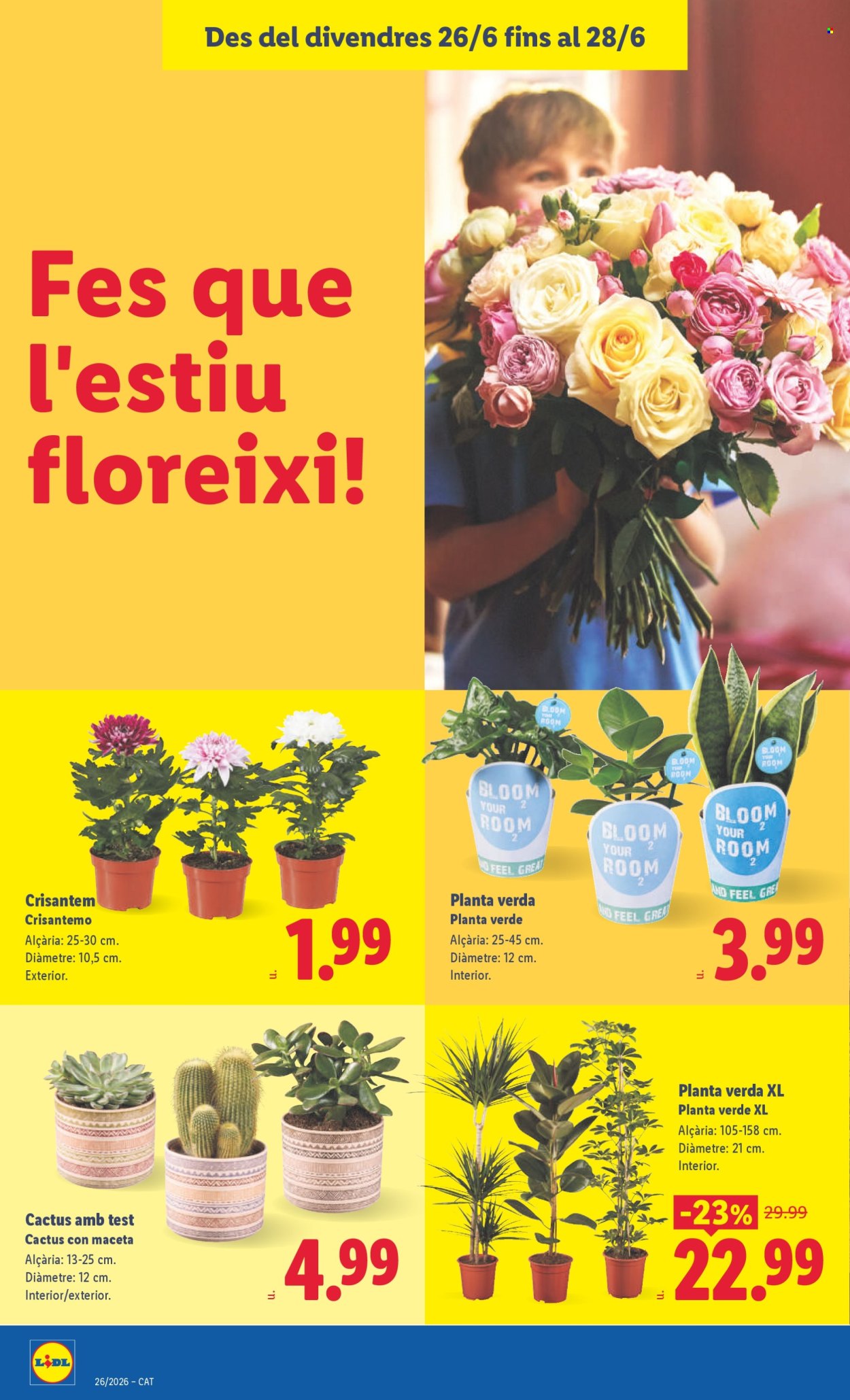 Folleto Lidl - 22/06/26 - 28/06/26. Página 40