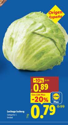 Lechuga iceberg