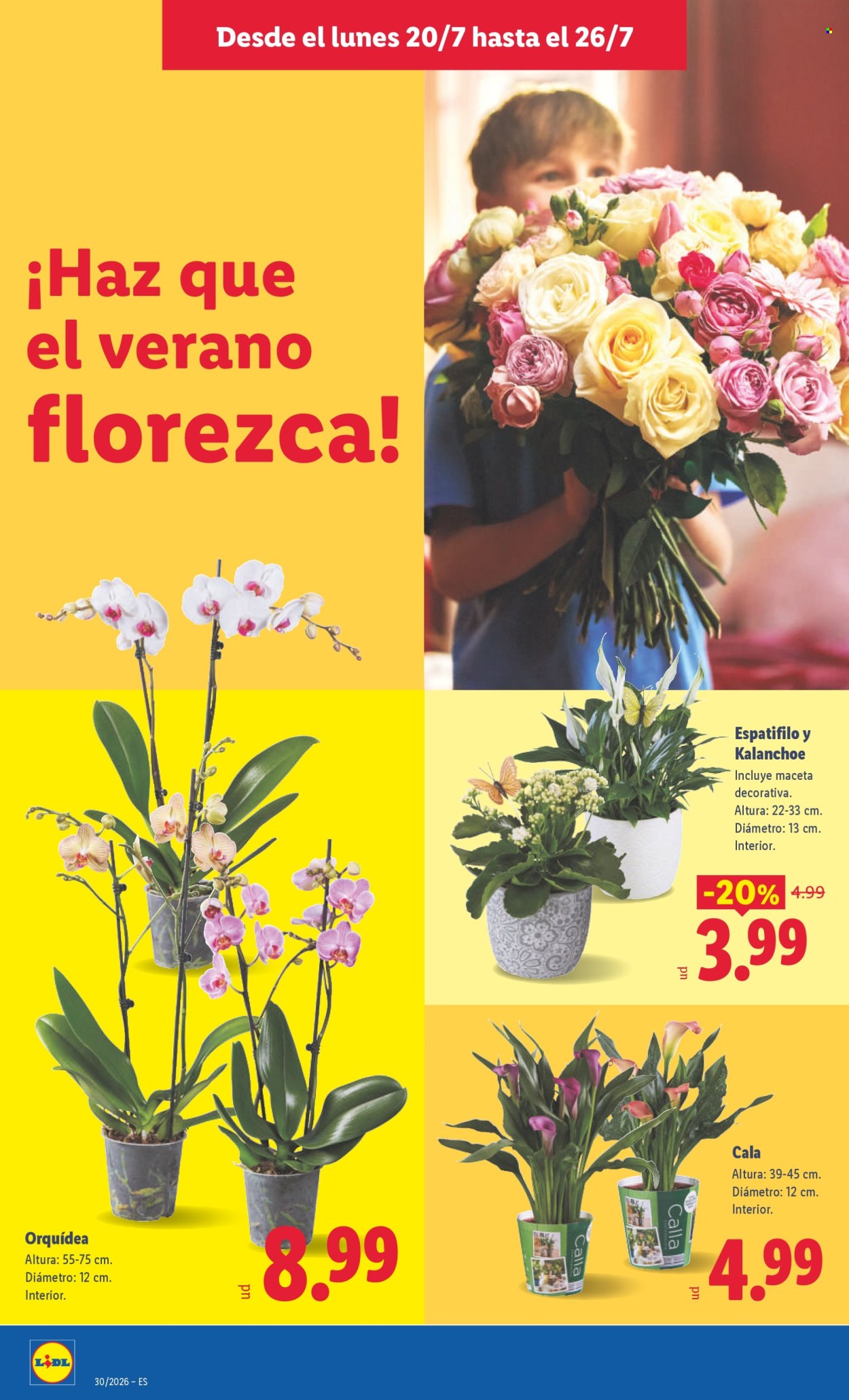 Folleto Lidl - 20/07/26 - 26/07/26. Página 48