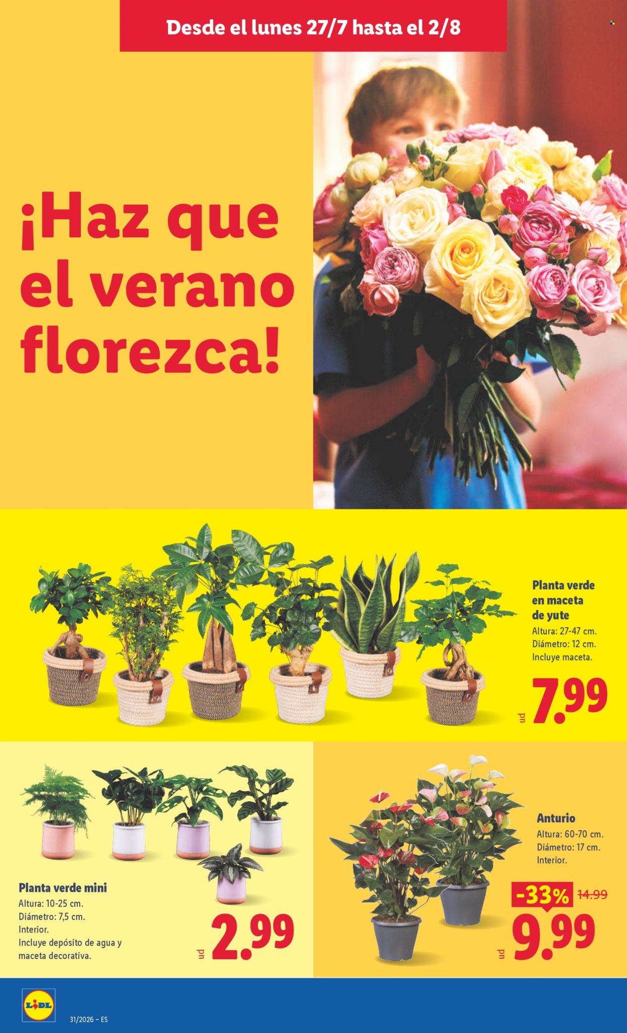 Folleto Lidl - 27/07/26 - 02/08/26. Página 42