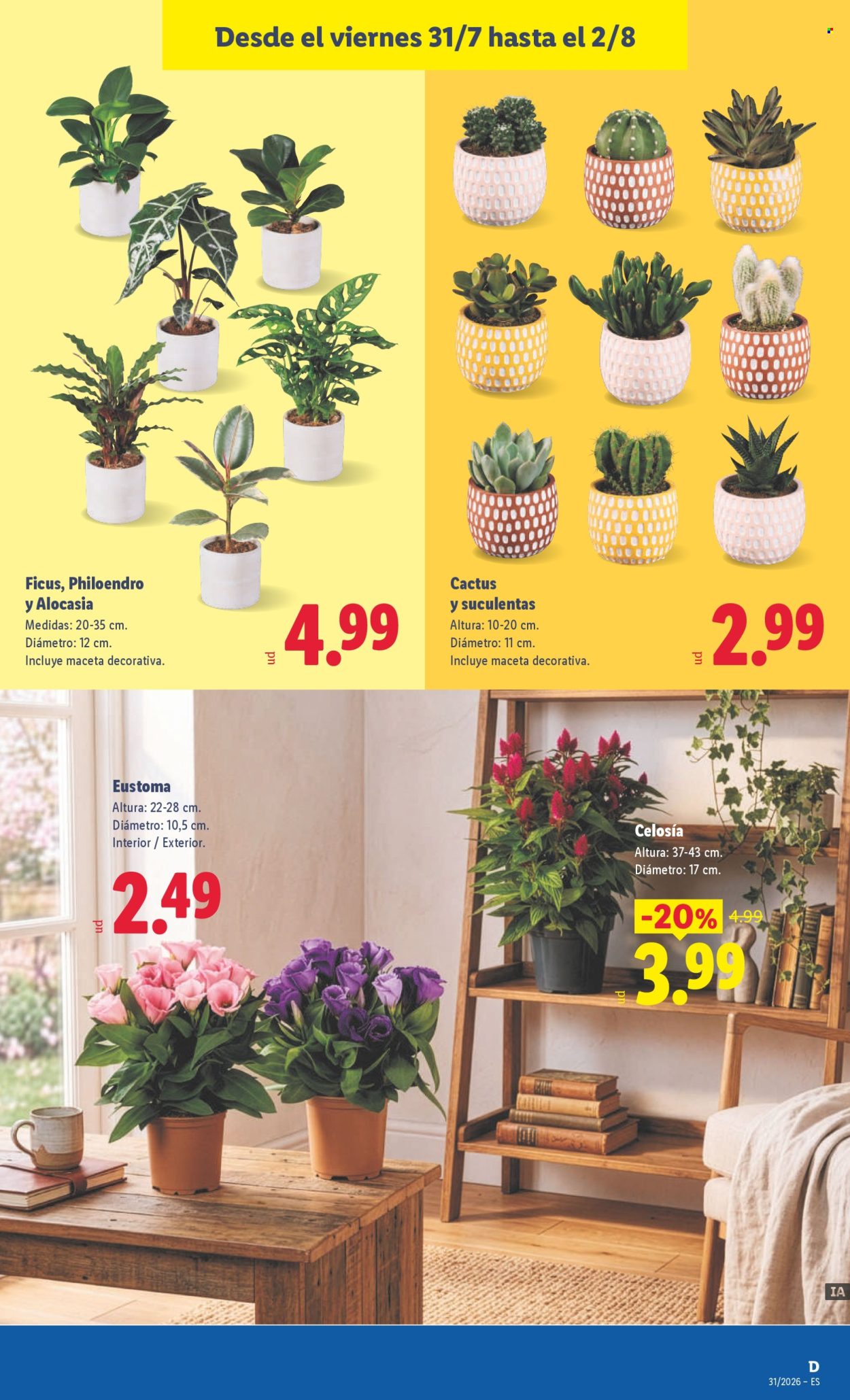 Folleto Lidl - 27/07/26 - 02/08/26. Página 43
